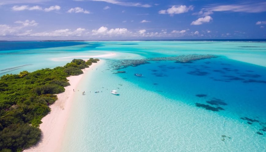 Your Ticket to Paradise!