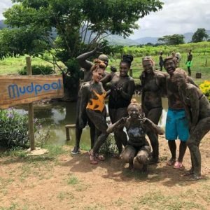 Nadi Sabeto Hotspring Mudpool Tours Fiji