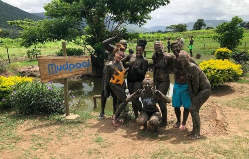 Nadi Sabeto Hotspring Mudpool Tours Fiji