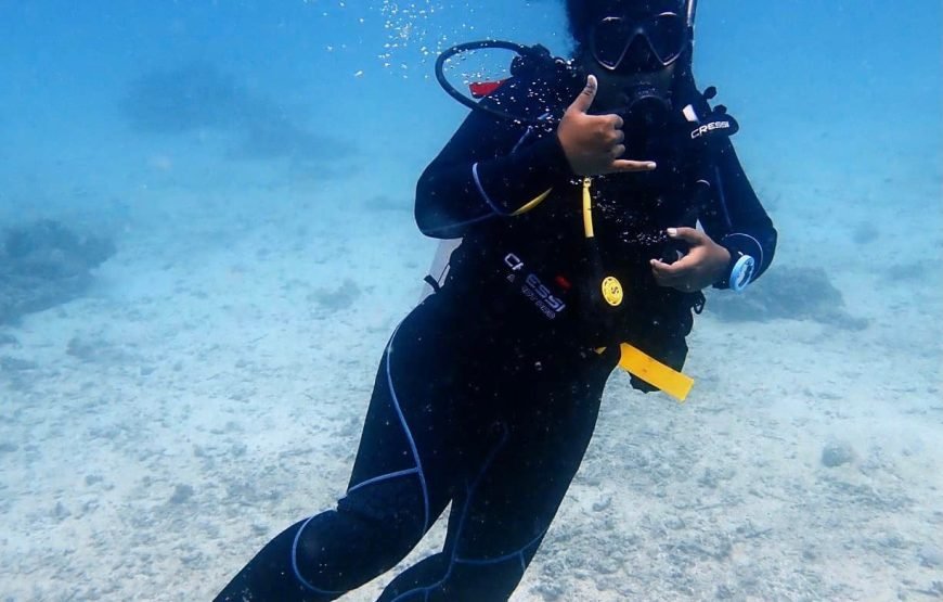 Snorkeling at Salt Diver Fiji