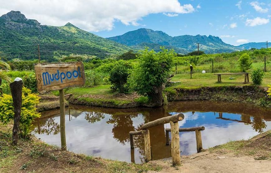 Mud Pool & Garden of the Sleeping Giant Tour Fiji
