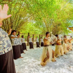 The Best Nadi Tour in Fiji for 2026 (with Price)