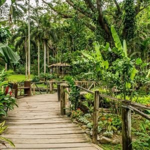 The Best Nadi Tour for 2025