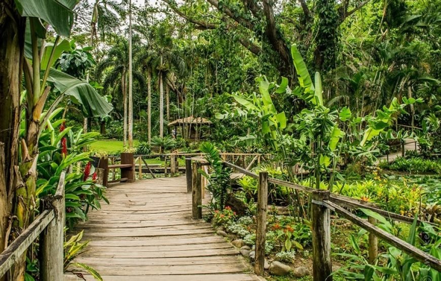 Best Nadi Tour for 2026