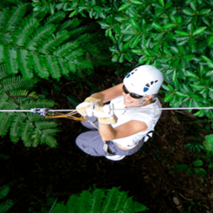 Zipline Adventure Fiji Half Day Tour