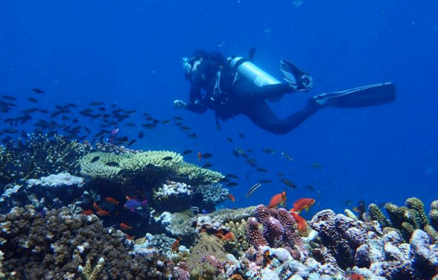 Padi Open Water Diver Fiji