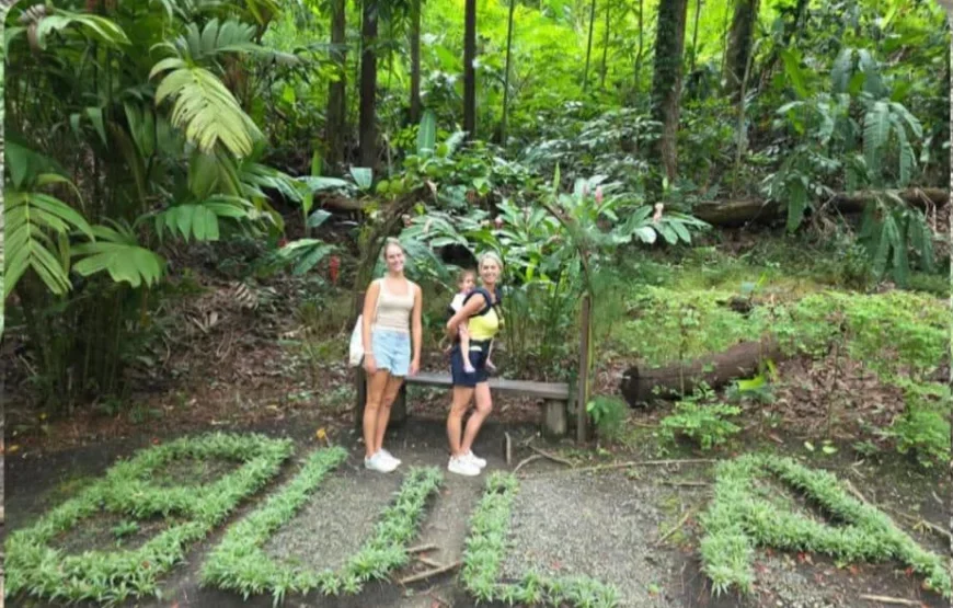 Fiji Morning Walk