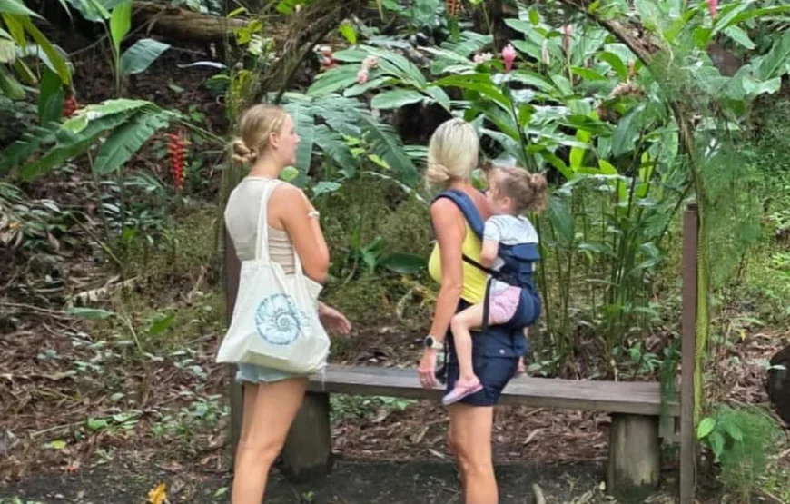 Fiji Morning Walk