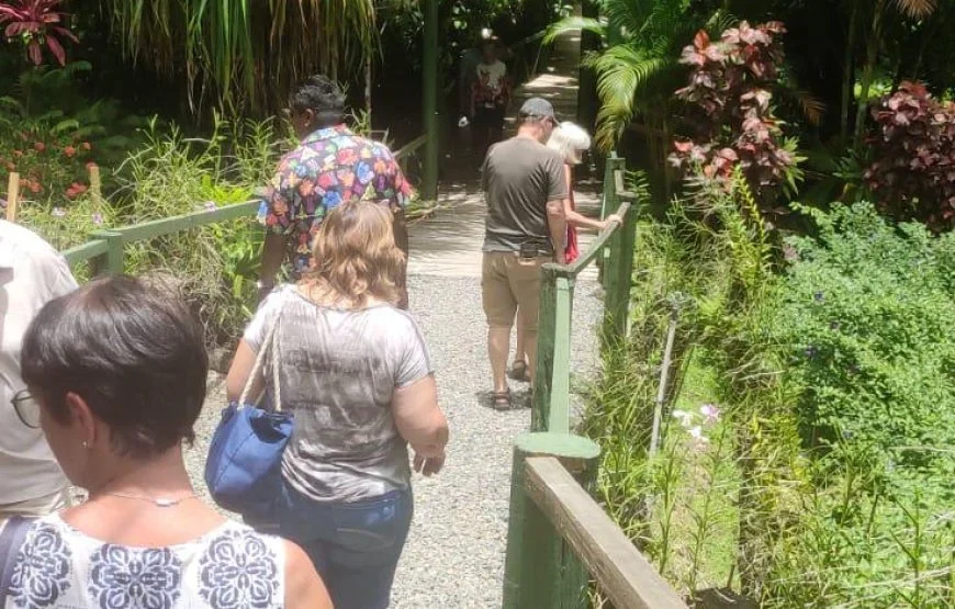 Fiji Morning Walk