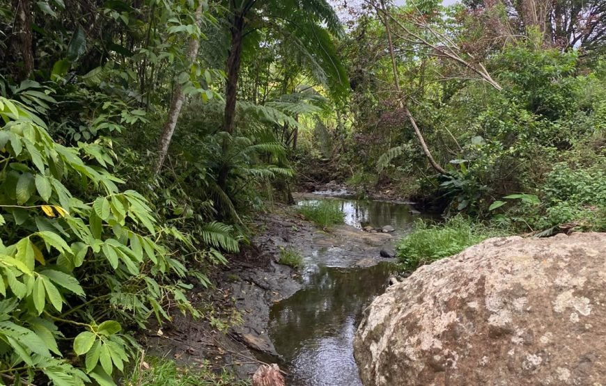 Nausori Highland Waterfall Tours