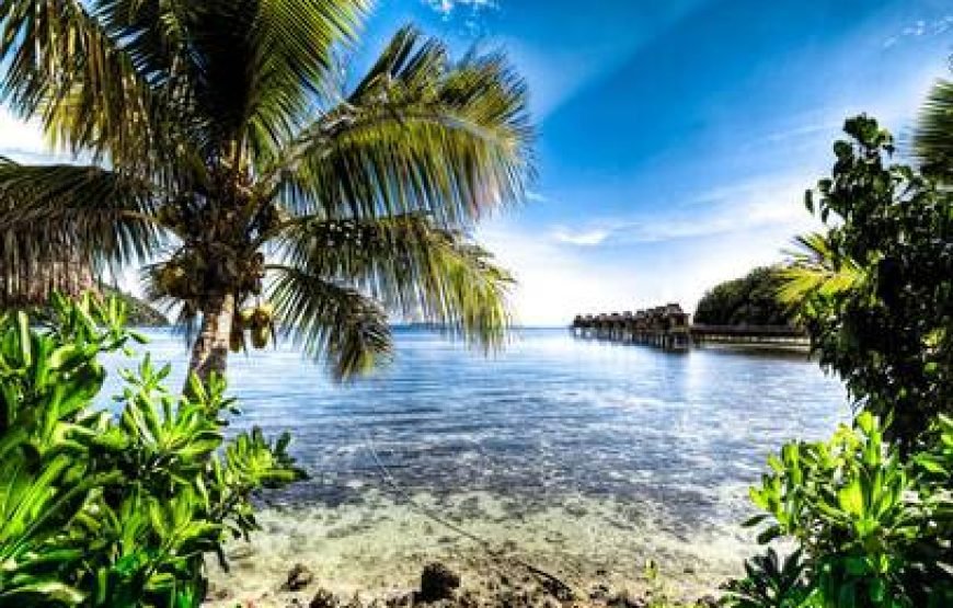 Discover Nadi Tour – Denarau Island