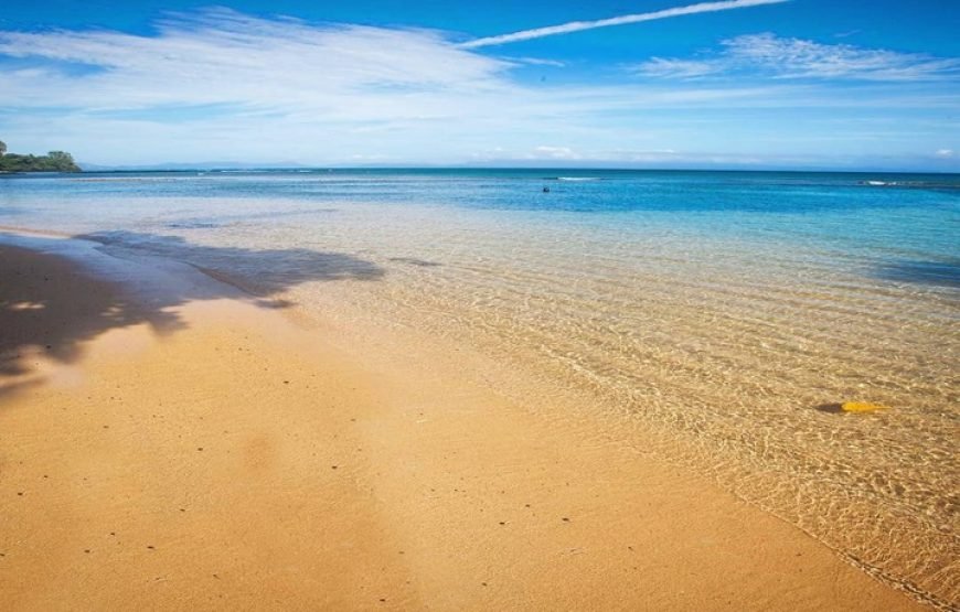 Experience Diving in Fiji | Bula!