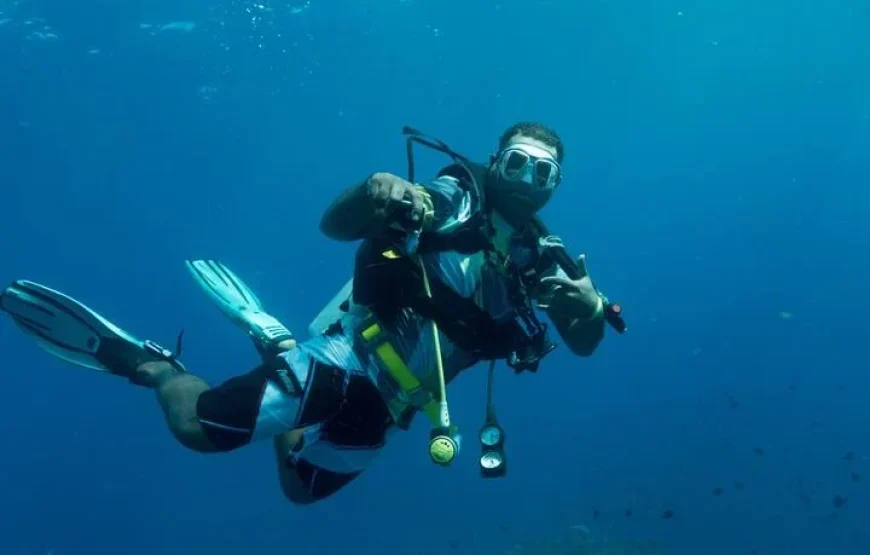 The Top Fiji Scuba Diving (Updated 2026)