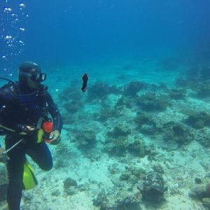 Experience Diving in Fiji | Bula!