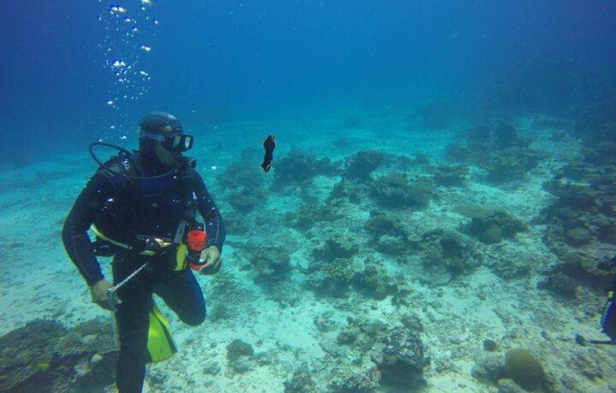 Experience Diving in Fiji | Bula!