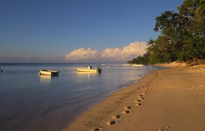 Experience Diving in Fiji | Bula!