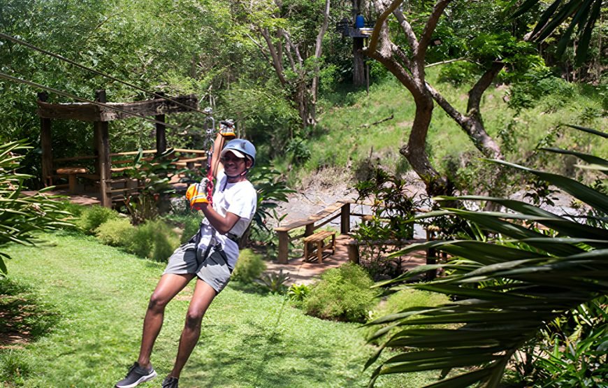 The Top Fiji Ziplining (Updated 2026)