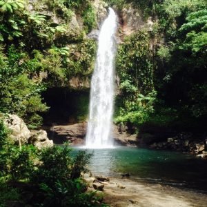 Tavoro Waterfall Adventure Fiji