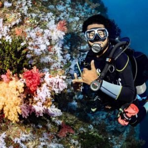 The Top Fiji Scuba Diving (Updated 2025)