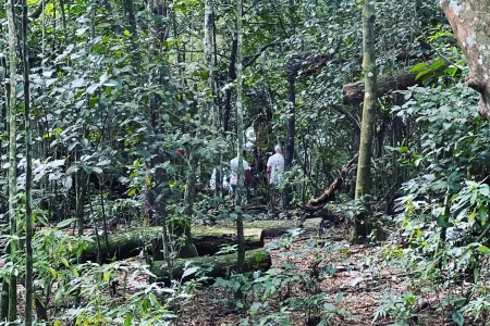 Your Ticket to Paradise!