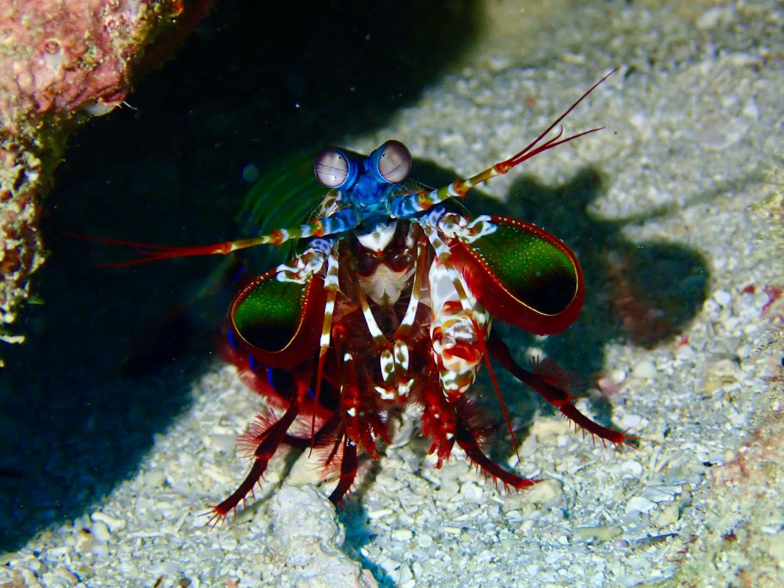 Fiji Adventures Begin Here