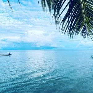 Suncoast Ocean Swim 19