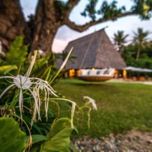 Fijian Cultural Tour