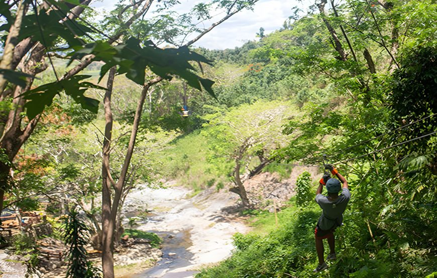 The Top Fiji Ziplining (Updated 2026)