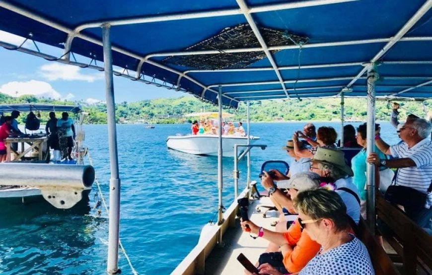 The Best Savusavu Tour & Excursions for 2026