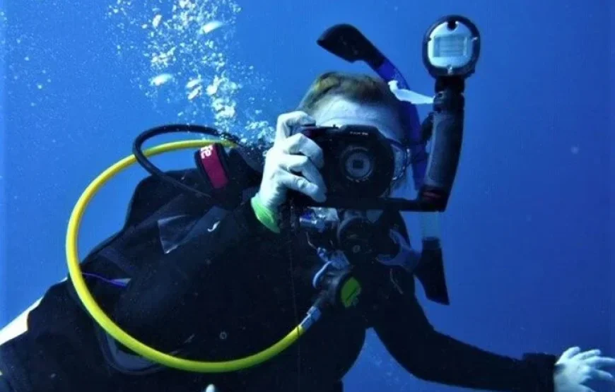 The Top Fiji Scuba Diving (Updated 2026)