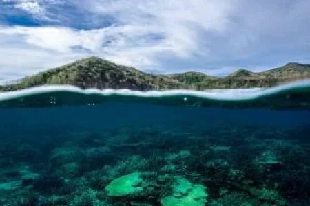 Jewel Of Fiji