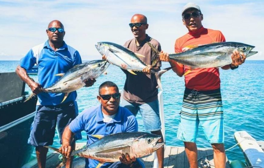 The Top Fiji Cultural Tours (Updated 2026)