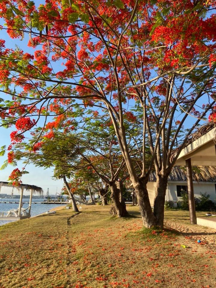 Fiji Adventures Begin Here