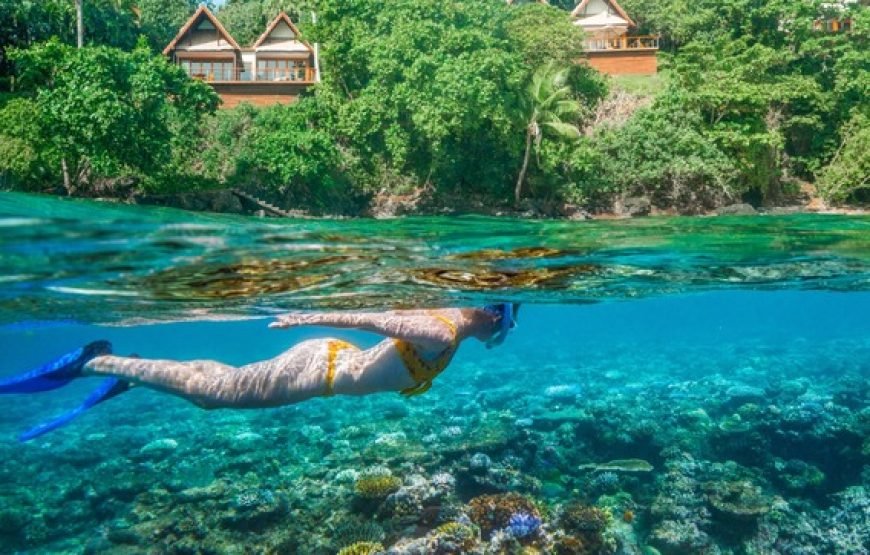 The Top Fiji Cultural Tours (Updated 2026)