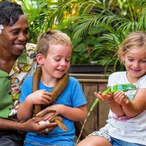 The Top Fiji Self-guided Tour (w/Price)