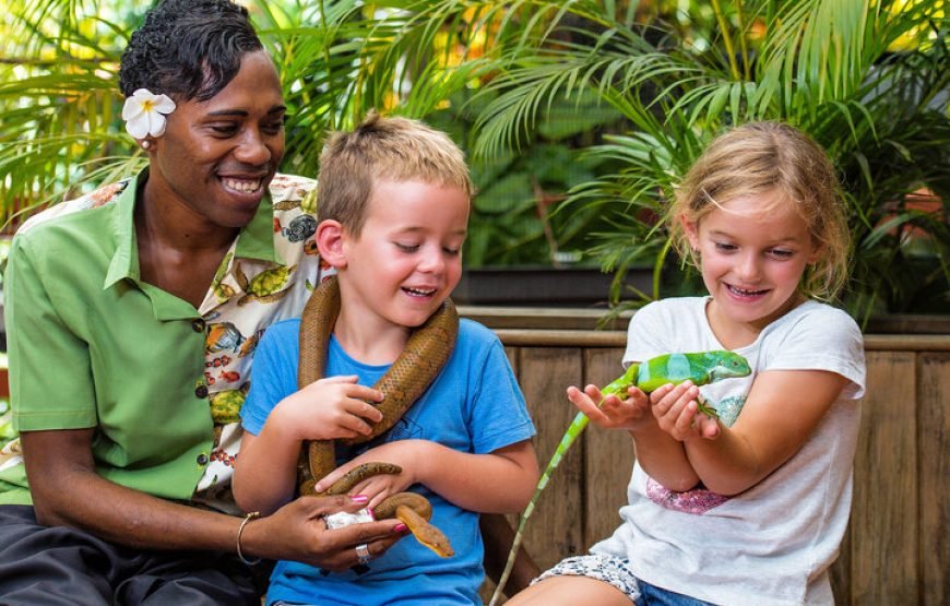 The Top Fiji Self-guided Tour (w/Price)