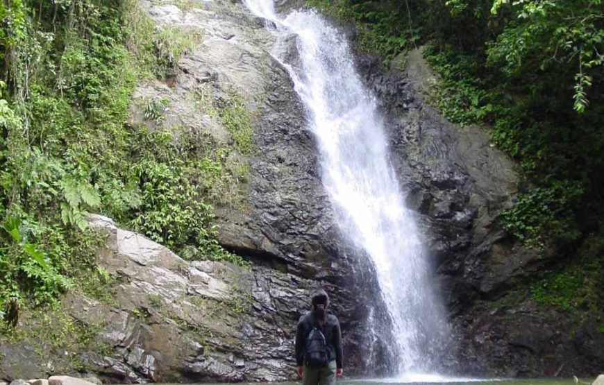 Waterfall Tour Fiji