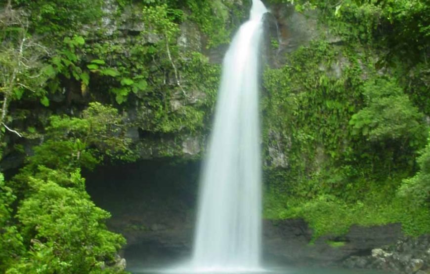 Waterfall Tour Fiji