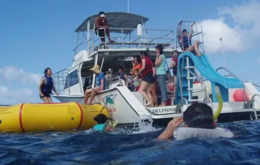 Coral Coast Full Day Heritage Tour Ex Nadi Area & Denarau Hotels