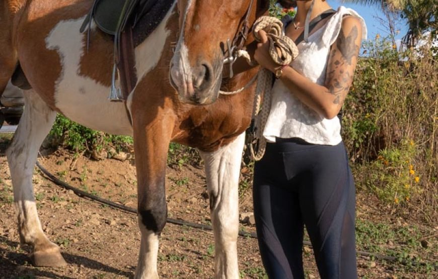 Natadola Bay Combinational Horse Ride + Beach Massage