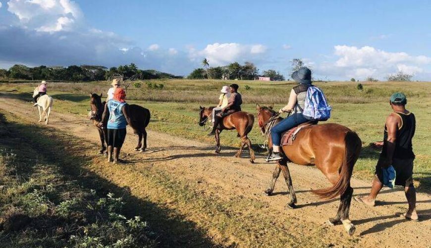 Horse Riding Tour