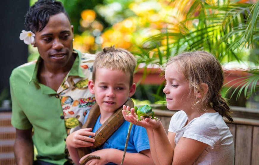 The Top Fiji Self-guided Tour (w/Price)