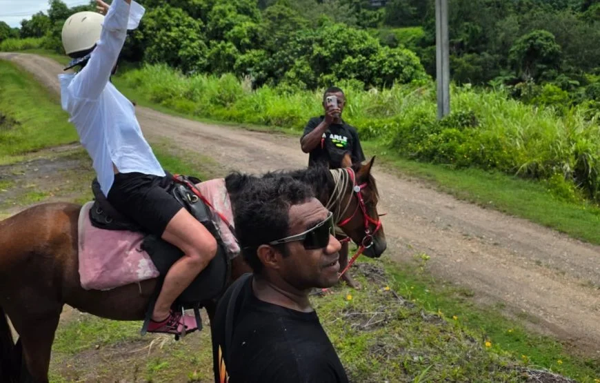 Sightseeing Tour in Fiji