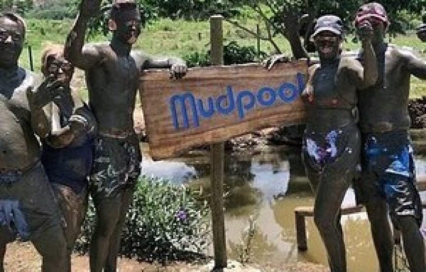 Thermal Mud Pool & Garden Tour Fiji