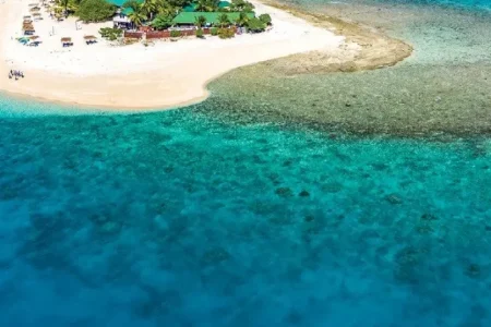 Your Ticket to Paradise!