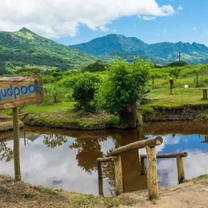 Mudpool & Hotsprings Tour Fiji