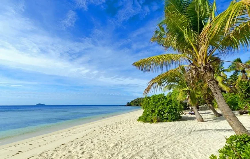 Taveuni Snorkeling Fiji