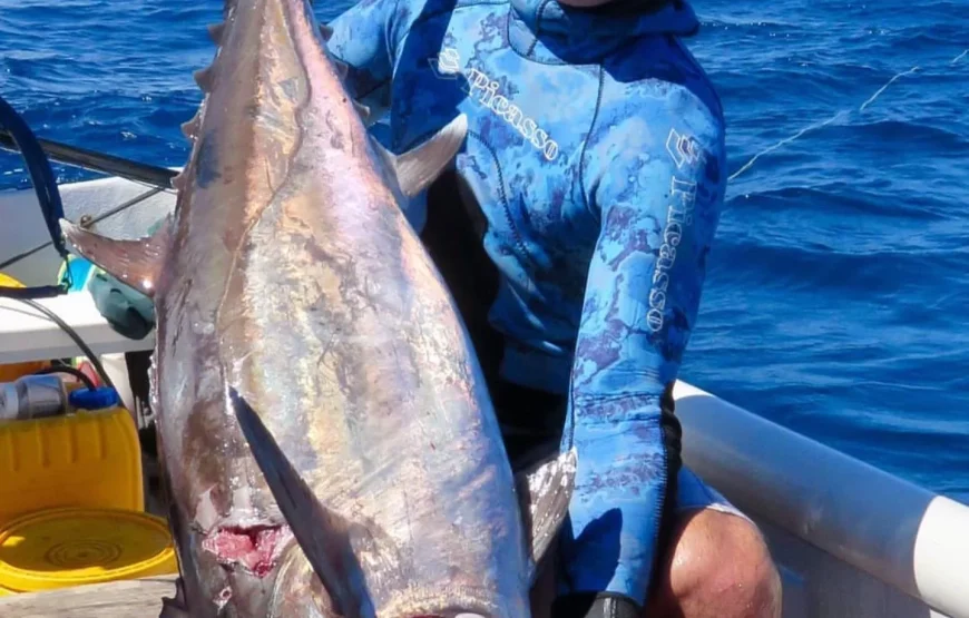 Ringgold Isles Spearfishing & Fijian HomeStay Adventure