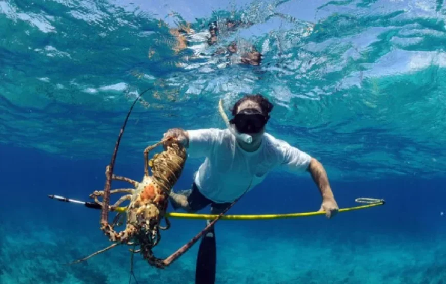 Ringgold Isles Spearfishing & Fijian HomeStay Adventure
