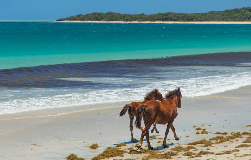 Natadola Beach Tour Fiji